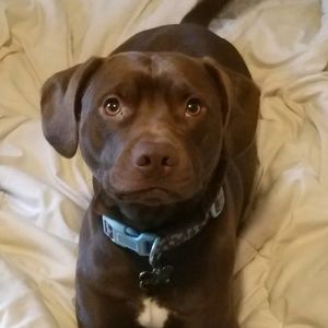 Meet your Posher, Kirk